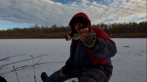 Рыбалка на Оби в протоке, на окуня 21 декабря 2025г.