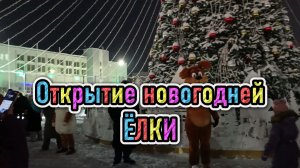 Новогоднее настроение. Открыте новогоднего городка.