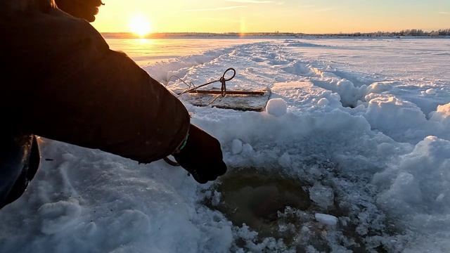 Проверка удочек. 21 день. смотреть онлайн