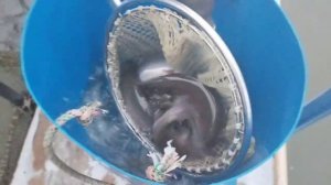 Зарыбление !