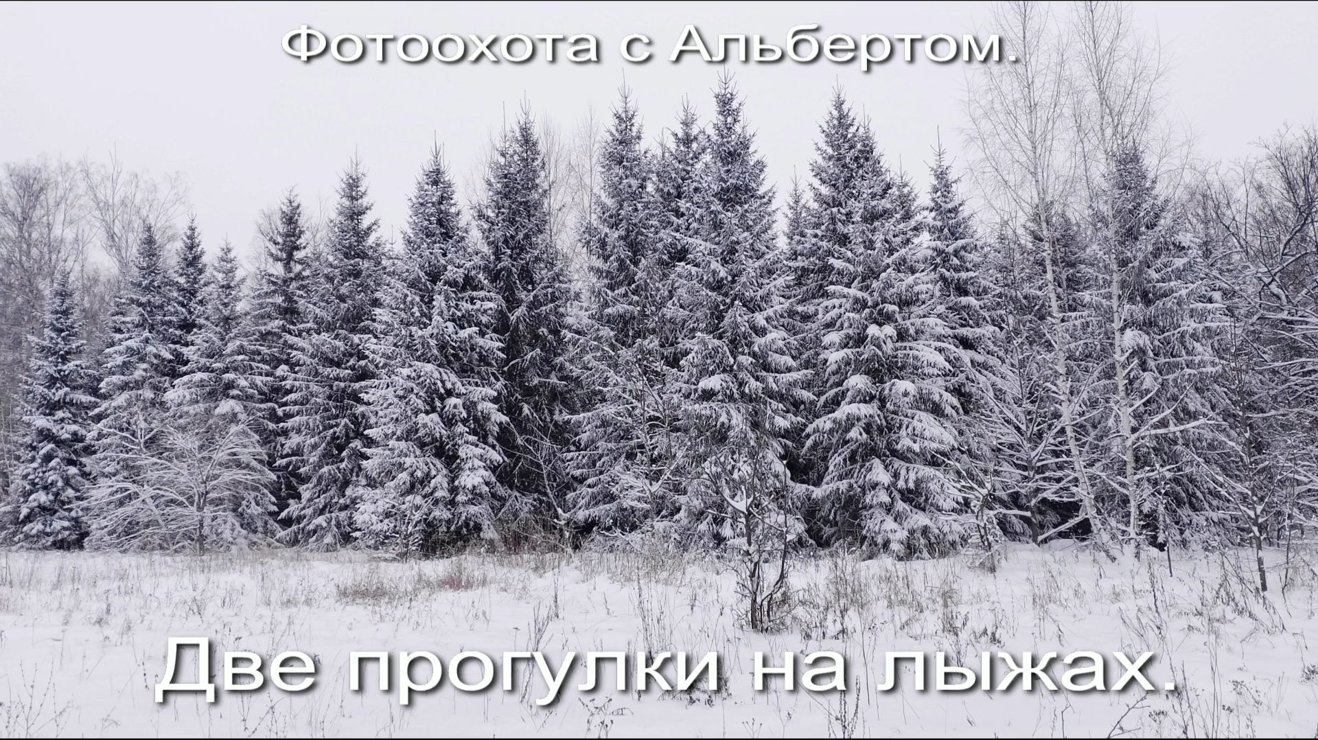 Фотоохота с Альбертом. Две прогулки на лыжах. смотреть онлайн