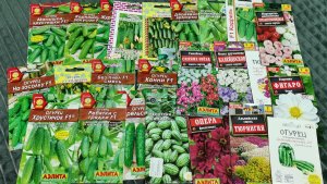 Семена в подарок от Светланы для урожайного огорода в деревне огурцы и цветы!