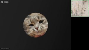 ТИМУР-РОБАКСЫ (ПЕРВЫЙ КЛИП)