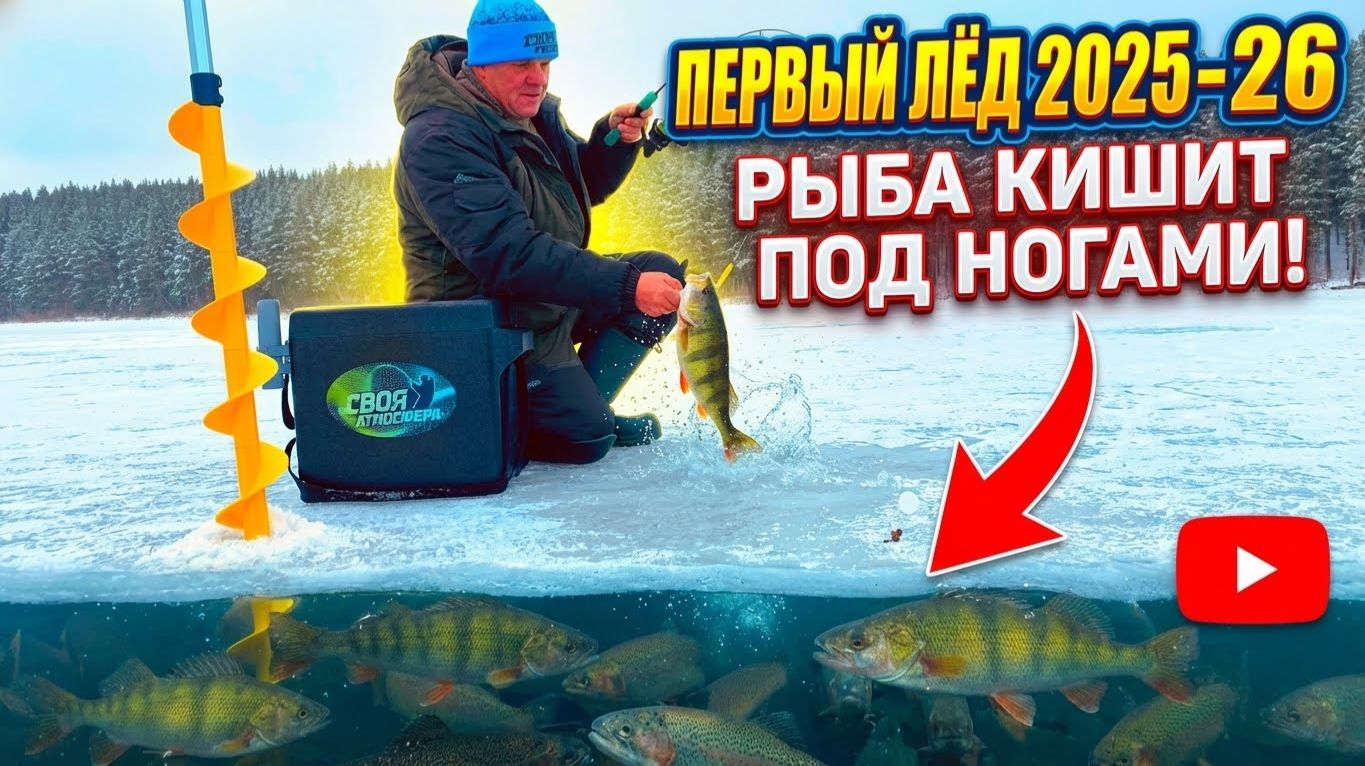 ПЕРВЫЙ ЛЕД! Рыба кишит под ногами Зимняя рыбалка на балансир 2025-26 смотреть онлайн