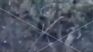 На лбс в плотном бою с противником наш боец получил очередь в упор и остался жив.