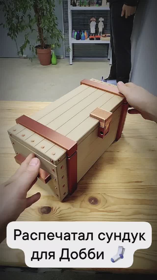 Распечатал сундук для Добби 🧦 смотреть онлайн
