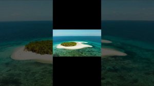 Вице-президент. На заре..mp4