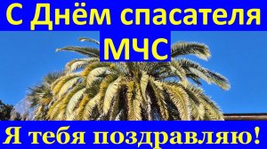 С Днём спасателя МЧС я тебя поздравляю!