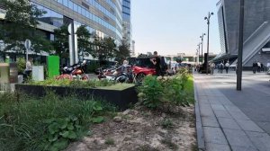 на Феррари прокОтимся?