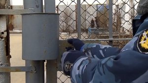 Суд отправил в колонию семерых жителей Феодосии за избиение чемпиона РФ по боксу