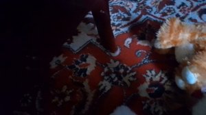 приключения котиков 1 серия