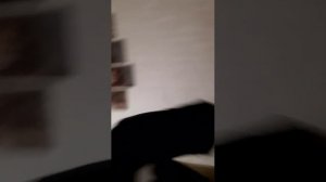 всем привет ты тяффы