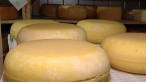 РИА Новости: Россия впервые импортировала сыр из Китая