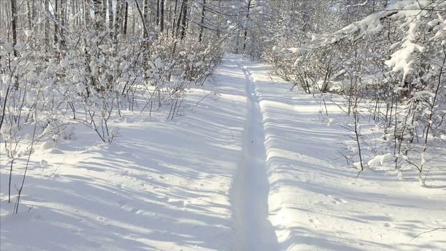 Проверка капканов часть 〽️ 8.Перезагрузка капканов. смотреть онлайн