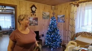 ДОМ УКРАСИЛИ К НОВОМУ ГОДУ, ВСЁ ЧТО МОГЛИ.