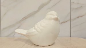 Отрок в облачении. Страничка надежды