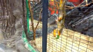 Влог Веселая детская площадка и контактный зоопарк