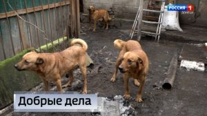 Совместная помощь