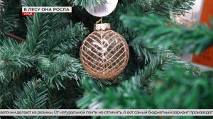 В наших городах открылись ёлочные базары