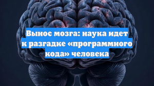 Вынос мозга: наука идет к разгадке «программного кода» человека