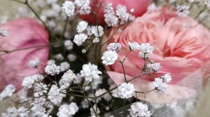 Готовлю немецкое блюдо. Саяногорск Хакасия