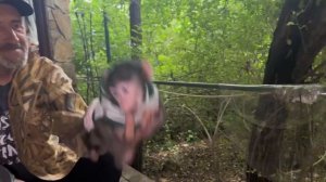 У нас НИКОГДА НЕБЫЛО такой обезьянки как Анфиса, это что-то с чем-то,при все любви к остальным детям