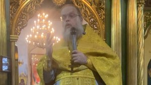 21 декабря 2025г. Проповедь иерея Димитрия Майорова. Неделя двадцать восьмая по Пятидесятнице.