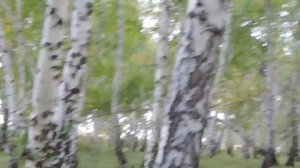 Мне хочется душой согреться