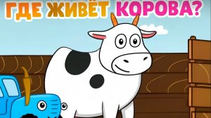 Синий Трактор｜Где живут животные?｜Синий Трактор Смотреть | Синий Трактор для малышей смотреть