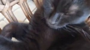 Доброй Всем Ночи. ДРУЗЬЯ