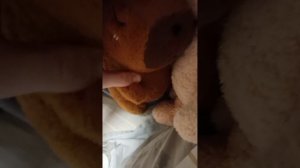 1 серия первобытные животные смешные приключения