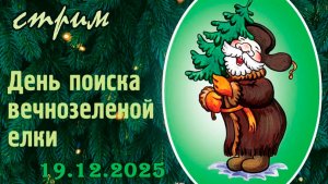 Пятничный ночной стрим (12.12.2025) День поиска вечнозелёной ёлки (часть 2)