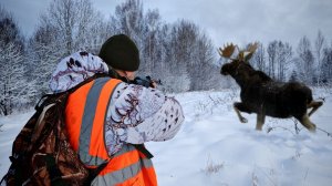 ОХОТА НА ЛОСЯ. ЗВЕРЬ ПРЯМО НА МЕНЯ ВЫШЕЛ! ДОБЫЛ МЯСА НА ГОД!