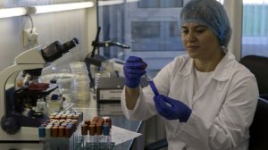 ТАСС: стафилококк и кишечную палочку нашли в холодцах известных брендов