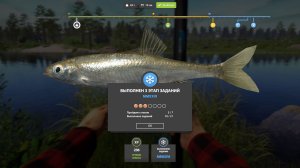 НОВОГОДНИЕ ЗАДАНИЯ 3 ЭТАП - РУССКАЯ РЫБАЛКА 4