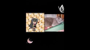 Моя кошка в гача клубе 🐾😺