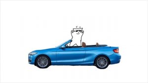 АХАЭАЗАХААХ(белый кот это прост рандомный нн)