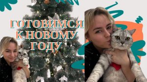 Готовимся к новогому году с Миюшей