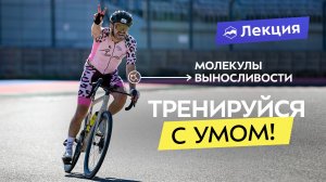 Как повысить эффективность тренировок на клеточном уровне?