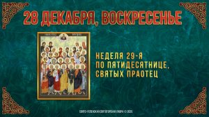 Неделя 29-я по Пятидесятнице, святых праотец.  28 декабря 2025 г.