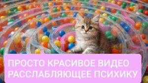 Расслабляющее видео | асмр