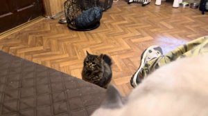 Финик уже во всю НАВОДИТ СВОИ ПОРЯДКИ, но конечно по сравнению с Люськой ВСЕ ОТДЫХАЮТ!