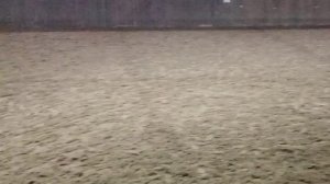 Новогодняя Сказка про принца и принцессу🫅🫅🫅