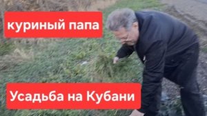 Усадьба на Кубани24.12.24.Куриный папа. Набрали картошки.Быстрая пицца на ужин.Архив..