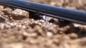 Водный кризис в Центральной Азии. Почему в Казахстане стало выгодно беречь воду?