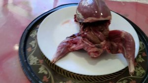 Раневая баллистика патрона 223рем, ТулАммо 55грейн, FMJ.