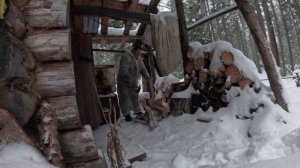 Гончие лоси, соболя в ящиках