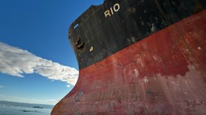 Beлosea маршрут Геленджик-Кабардинка