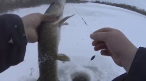 ЭТО РЕАЛЬНО РАБОТАЕТ! КРУПНАЯ ЩУКА НА ПРОСТУЮ СНАСТЬ!! Рыбалка на крупную щуку!