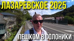 Лазаревское 2025/ Пешком из Лазаревского в Солоники/ Не делайте так